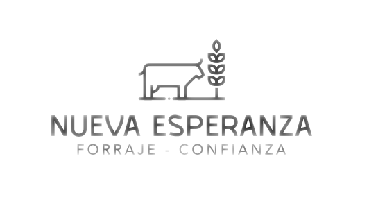 Nueva Esperanza